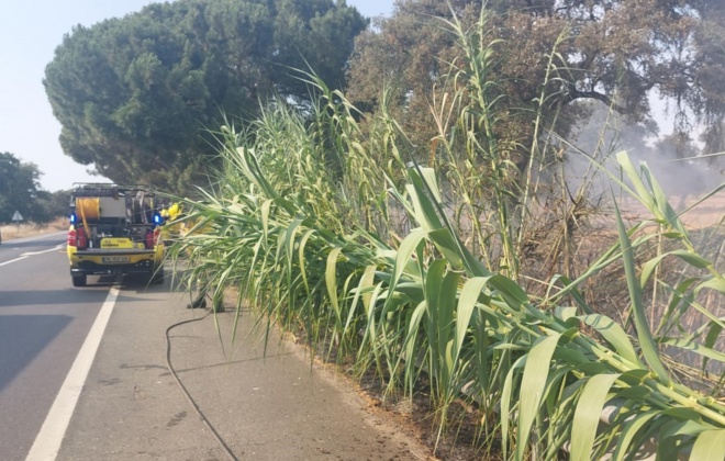 Vários incêndios ativos no interior do concelho de Santiago do Cacém