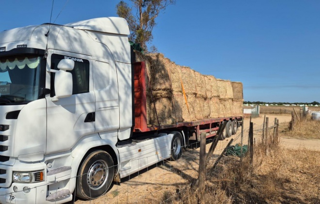 Associação de Agricultores de Grândola apoia agricultores afetados pelos incêndios
