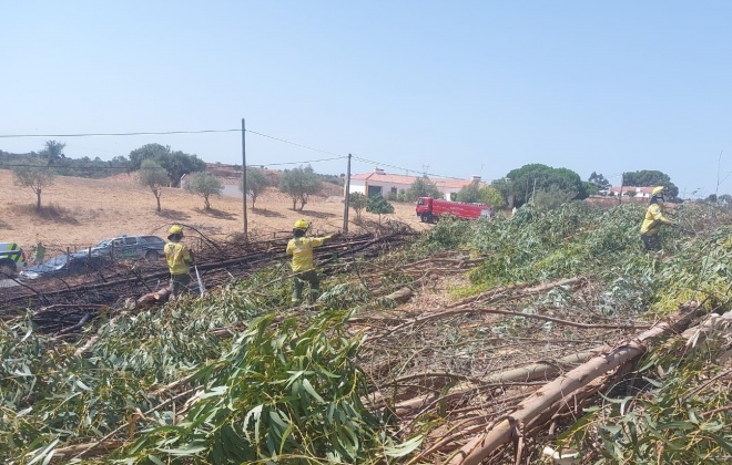 Incêndio consumiu área de mato no concelho de Santiago do Cacém
