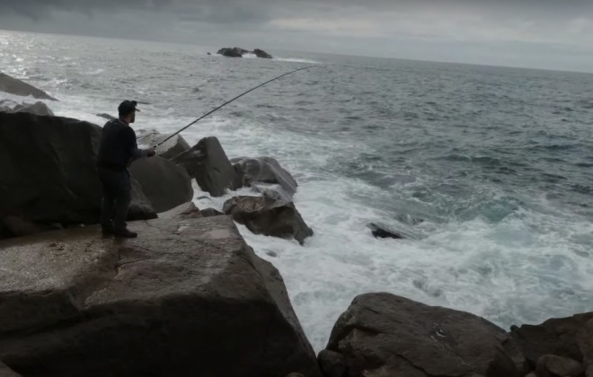 Pesca do sargo é proibida entre 1 e 28 de fevereiro no Parque Natural do Sudoeste Alentejano e Costa Vicentina