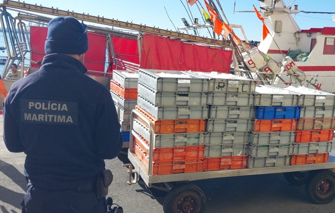 Polícia Marítima apreende 984 kg de tamboril no porto de Pesca de Sines