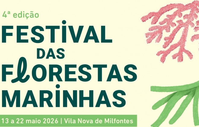 Festival das Florestas Marinhas vai realizar-se entre 13 e 22 de maio em Vila Nova de Milfontes