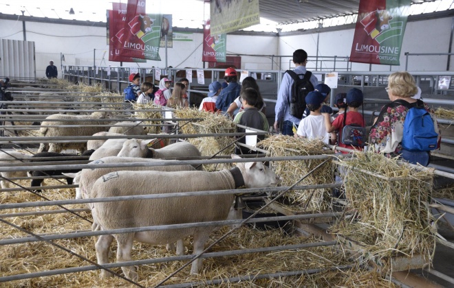 Santiagro regressa a Santiago do Cacém entre os dias 28 e 31 de maio