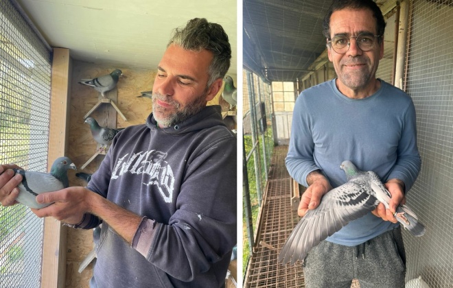 Columbófilo Luís Marques Júnior vence prova de fundo de Motilla Del Palancar