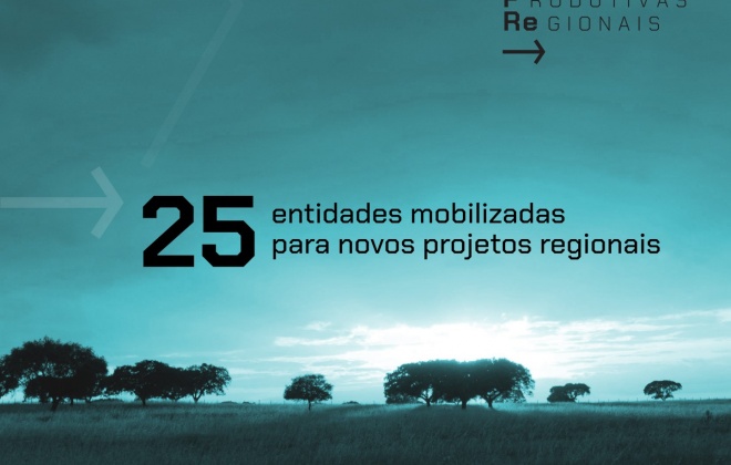 Alentejo mobiliza 25 entidades para transformar desafios regionais em novos  projetos