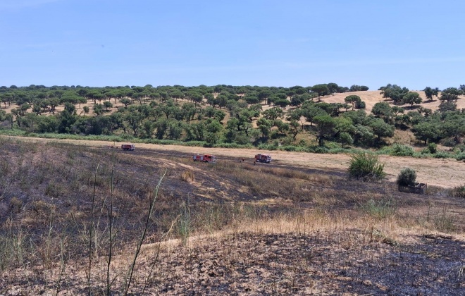 Incêndio consumiu área de pasto na Barrosinha em Alcácer do Sal
