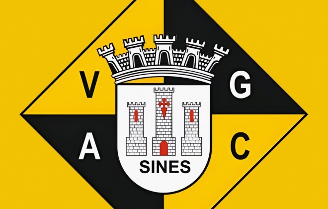 Luís Silva foi reeleito presidente do Vasco da Gama Atlético Clube