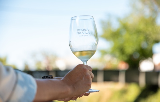 Vila Nova de Milfontes acolhe dois eventos dedicados aos vinhos e destilados em agosto