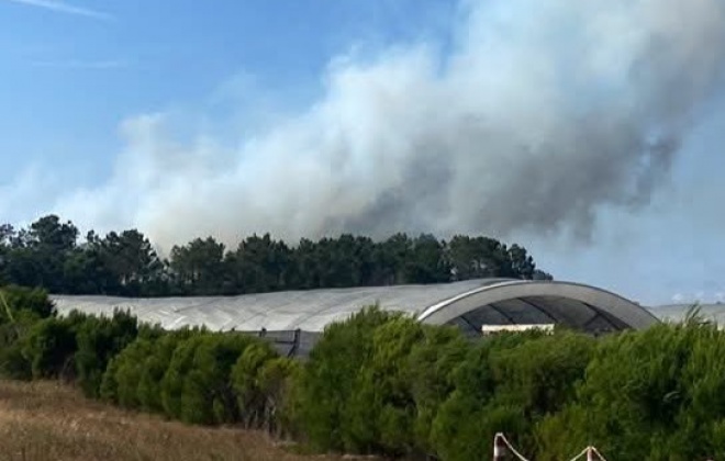 Incêndio em São Teotónio  mobilizou mais de 60 operacionais e três meios aéreos