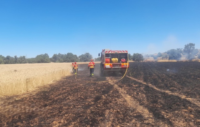 Incêndio agrícola mobiliza mais de 40 operacionais em Ourique