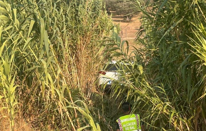 Quatro feridos ligeiros em despiste na EN253 em Alcácer do Sal