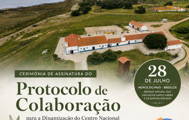 Novo protocolo para valorização  da Reserva Natural das Lagoas  de Santo André e da Sancha