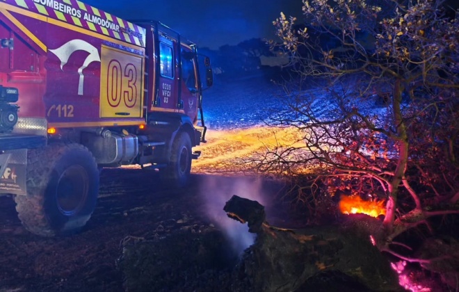 Incêndio em Almodôvar mobilizou dispositivo terrestre e aéreo no Monte da Vinha