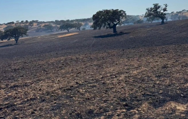Incêndio agrícola mobilizou mais de 40 operacionais em Odemira