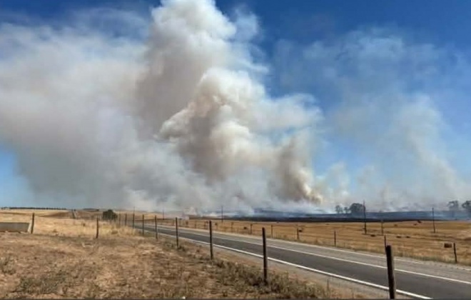 Meios do Alentejo Litoral reforçam combate a incêndio em Castro Verde