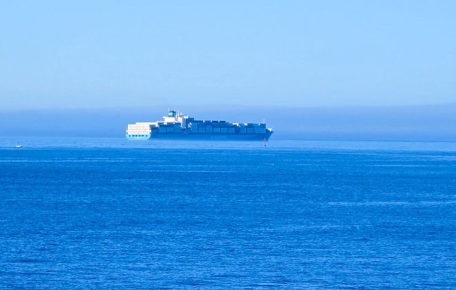 Polícia Judiciária apreende cinco toneladas de cocaína a bordo de navio porta-contentores
