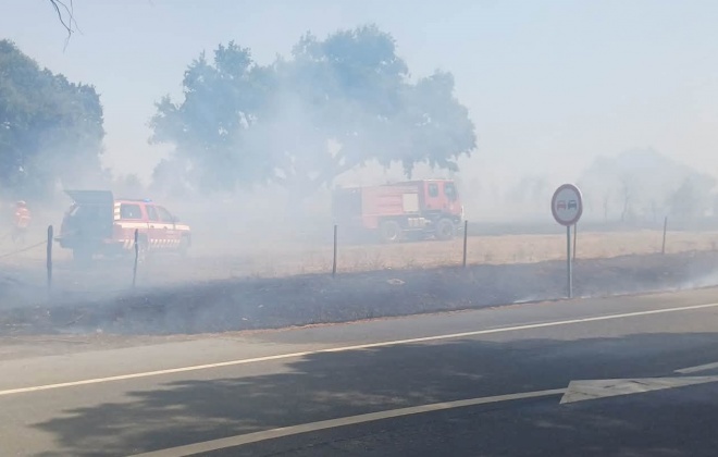 Incêndio consumiu área agrícola junto do IC1 em Ermidas-Sado