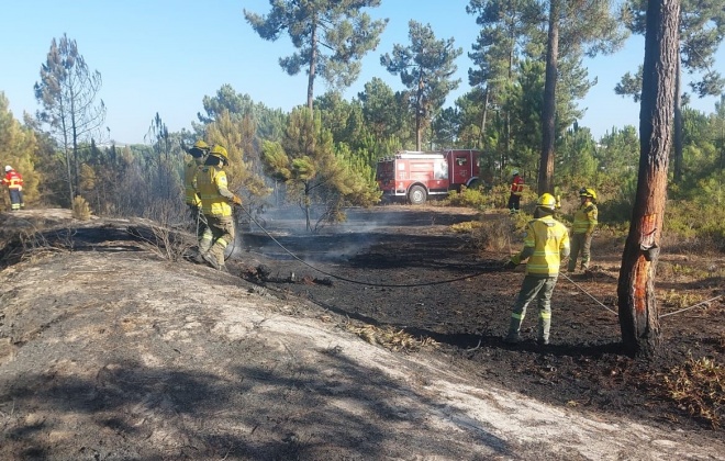 Incêndio consumiu área de mato em Vila Nova de Santo André